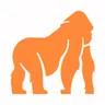 STEL Order logo